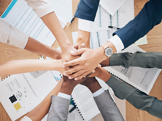 Nuestro Equipo Scorpions